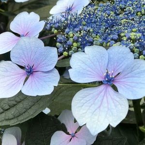 Meet your Posher, Briana